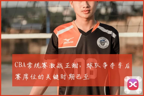 CBA常规赛激战正酣，球队争夺季后赛席位的关键时期已至