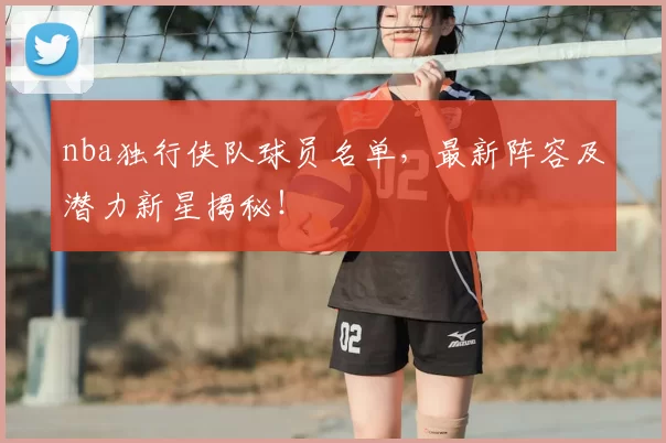 nba独行侠队球员名单，最新阵容及潜力新星揭秘！