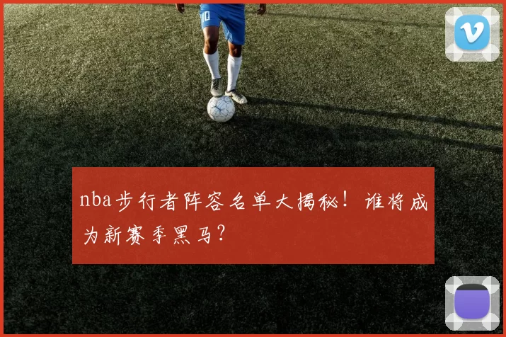nba步行者阵容名单大揭秘!谁将成为新赛季黑马?
