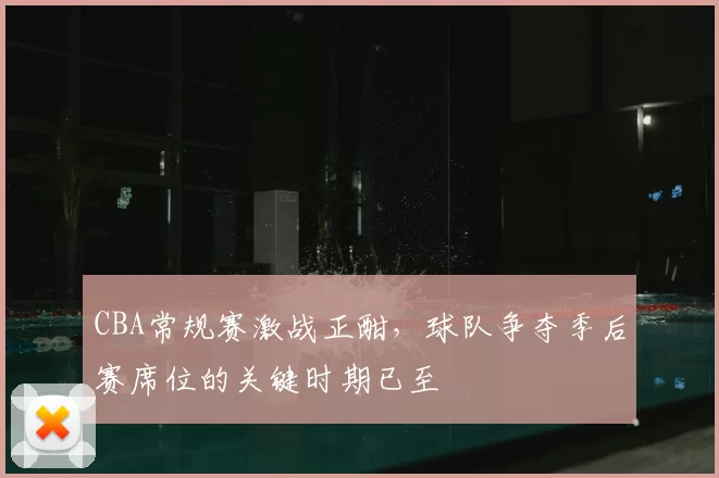 CBA常规赛激战正酣，球队争夺季后赛席位的关键时期已至