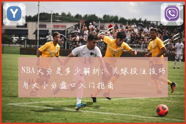 NBA大分是多少解析：买球投注技巧与大小分盘口入门指南