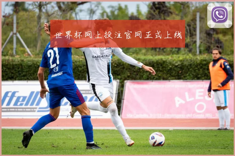 世界杯网上投注官网正式上线