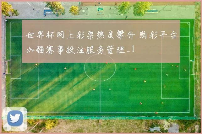 世界杯网上彩票热度攀升 购彩平台加强赛事投注服务管理_1