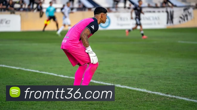 米兰app官网平台生态图