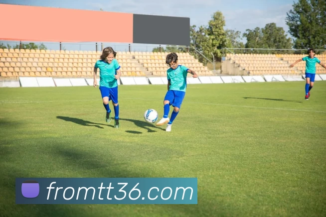 辅助工具 辅助工具